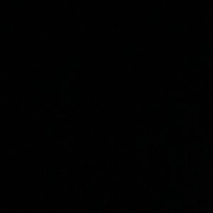 Meet your Posher, Sherell